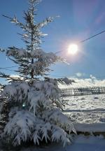 Cazare in Paltinis - VILA CASA ALYA - Paltinis - click aici, pentru marirea pozei